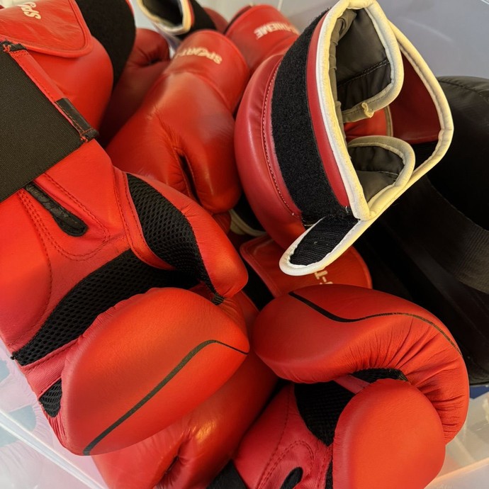 Boxhandschuhe